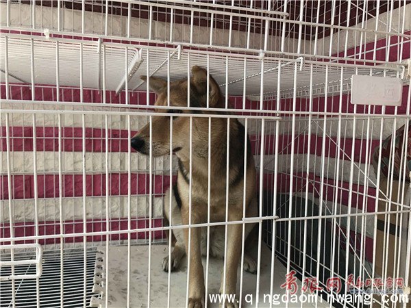 QQ图片20170125133012.jpg