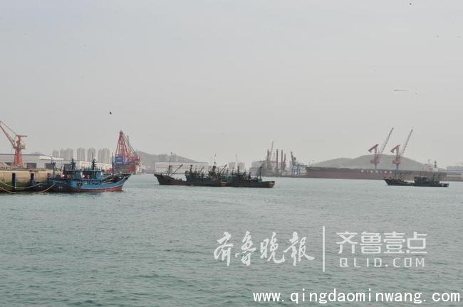再见了鲜海货！今起休渔，青岛开展首次海上执法巡查