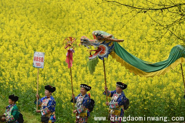   湖南湘西妇女赶“桃花会” 享春光