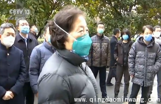 中央赴湖北指导组：坚决打赢疫情防控武汉保卫战、湖北保卫战